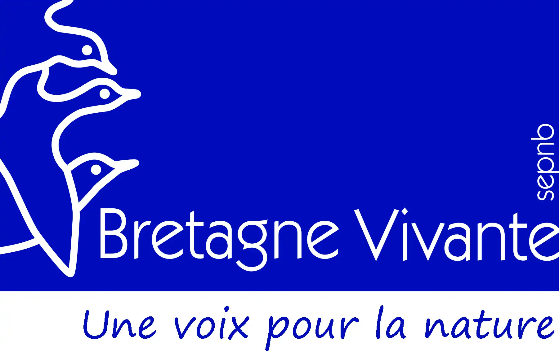 BV 2012 sign bleue